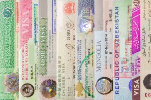 How to Apply for a Visa Online