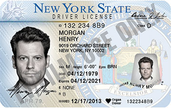 Order New York Driver's License Online